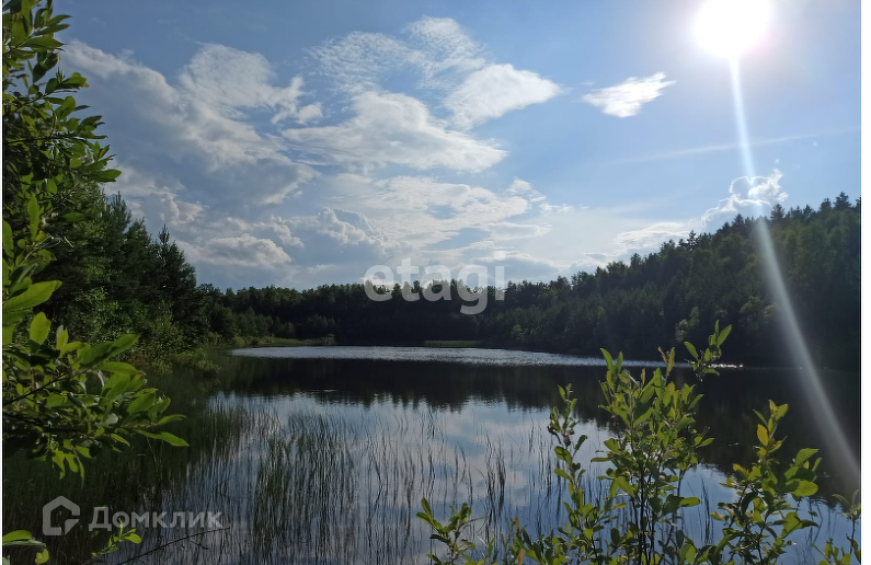 земля городской округ Пенза, СНТ Заря фото 1