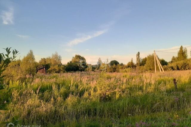 городской округ Пенза, СНТ Заря фото