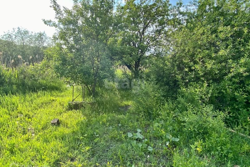 земля г Пенза городской округ Пенза, СТ Заря фото 1