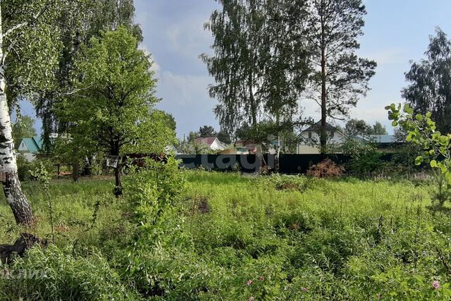 земля городской округ Пенза, посёлок Победа фото