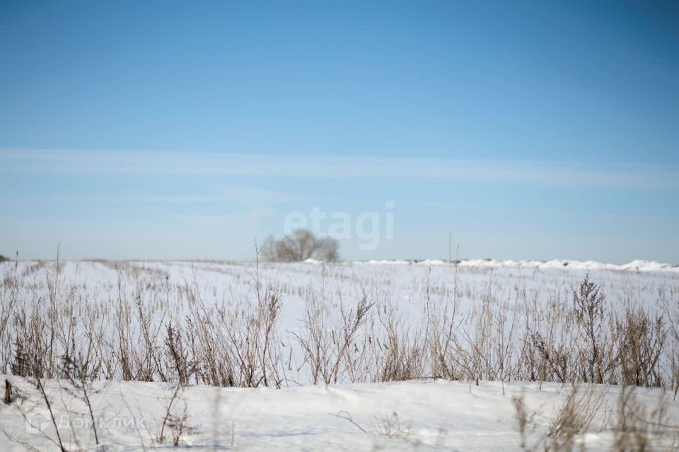 земля р-н Бессоновский Бессоновка фото 1