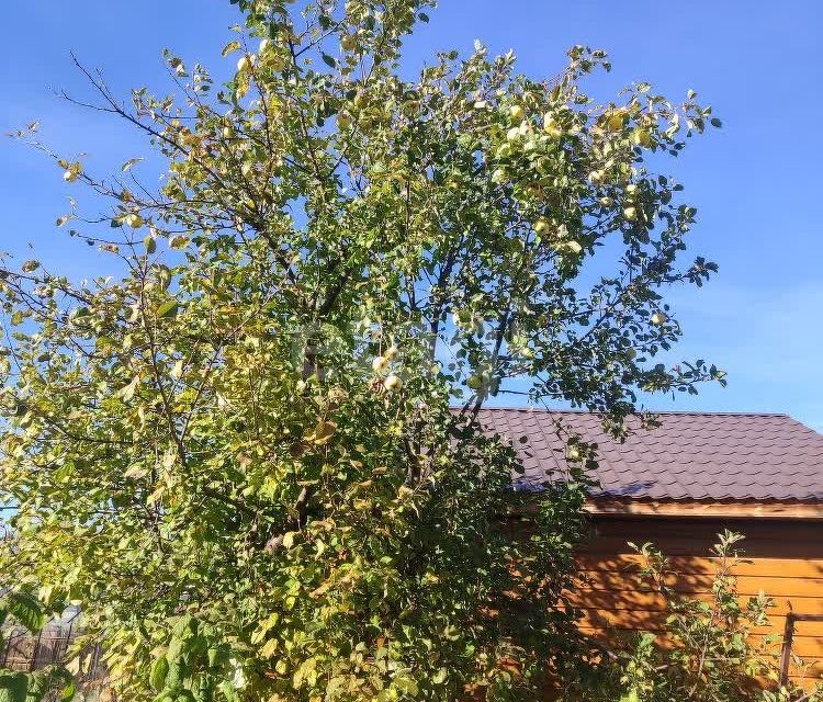 земля г Озерск Озерский городской округ, СНТ Зелёная горка фото 1