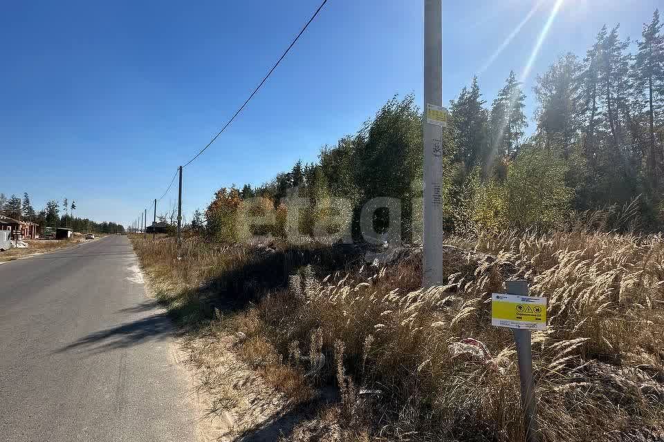 земля р-н Рамонский Ямное фото 1