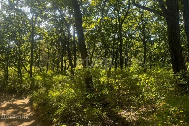 ул Центральная Находкинский городской округ фото