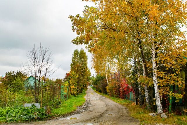 земля СНТ Семицвет, Новосибирский район фото