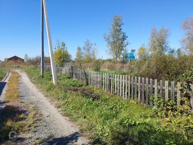 Тюмень городской округ, СО Царёво фото