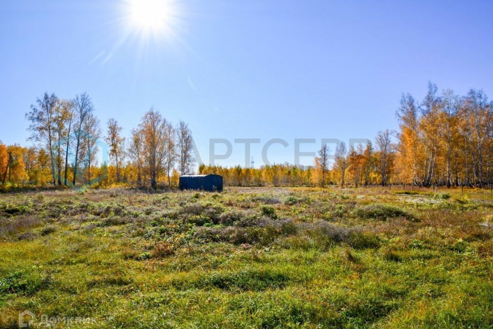 земля р-н Омский Ракитинкa фото 1