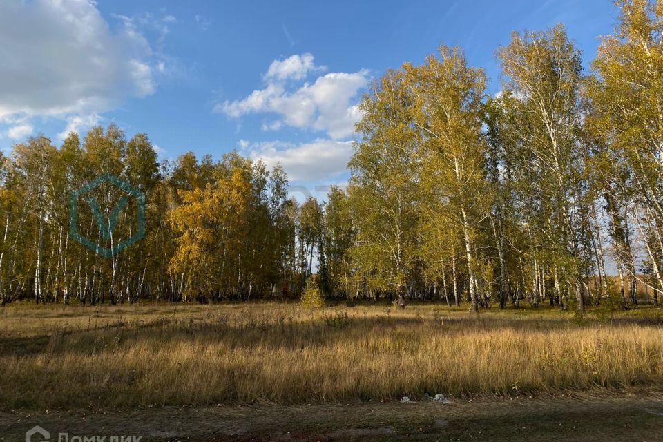 земля р-н Омский Ракитинкa фото 1