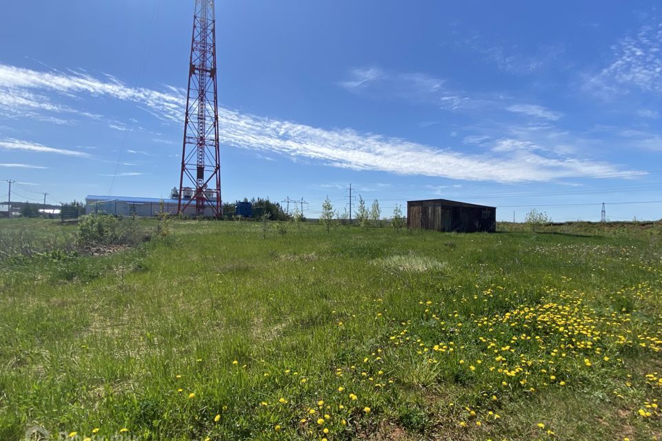 земля Чайковский городской округ, Чайковский фото 2