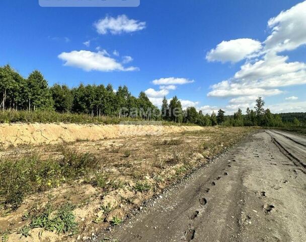 ДНТ Янтарь, Иркутский район фото