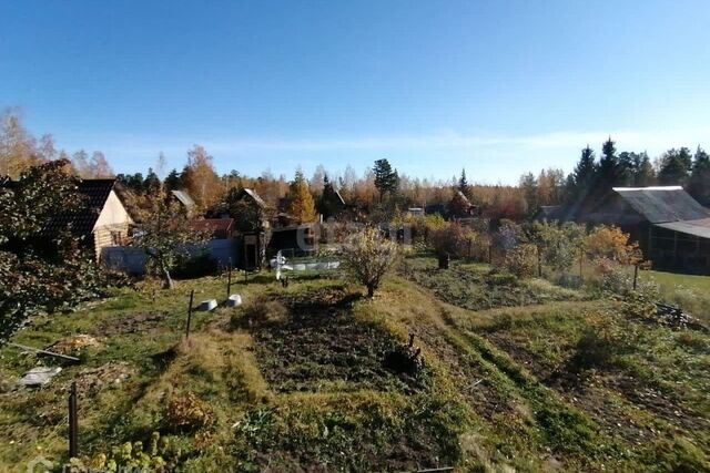 Кыштымский городской округ, снт Кварц фото