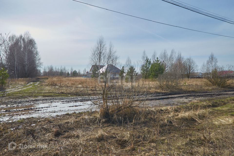 земля р-н Бессоновский село Сосновка фото 3