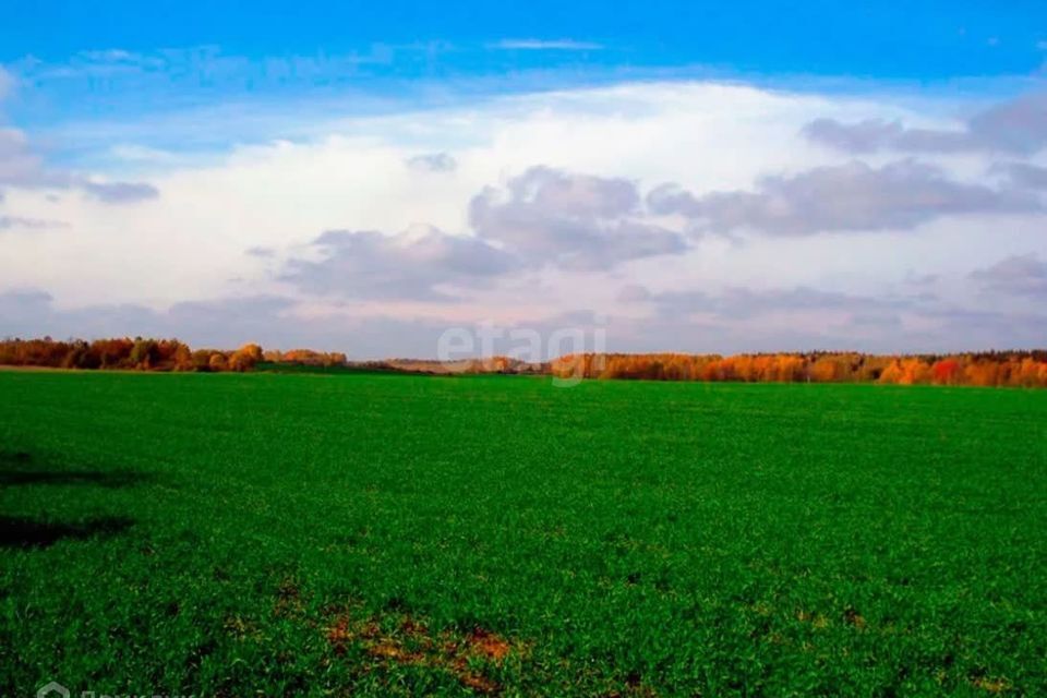 земля р-н Пензенский село Воскресеновка фото 3