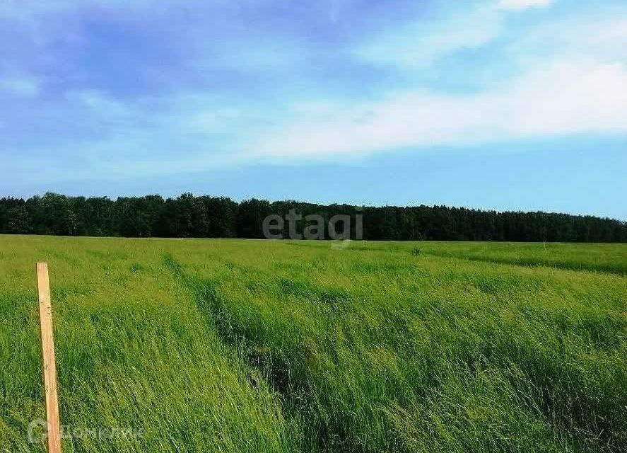 земля р-н Пензенский село Воскресеновка фото 2