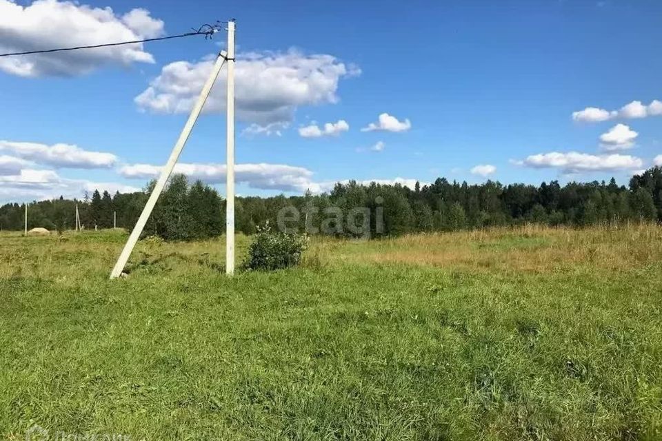 земля р-н Пензенский село Воскресеновка фото 3