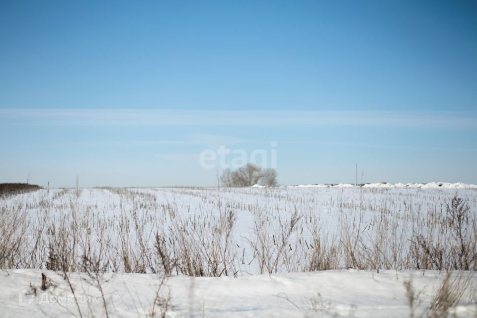 земля г Пенза снт терКамыши 200 городской округ Пенза фото 2