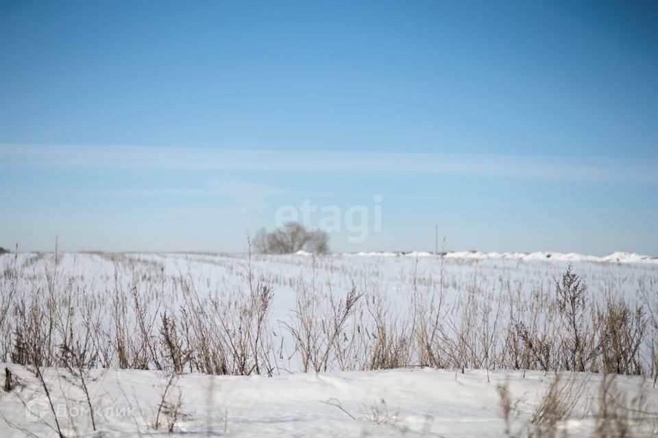 земля г Пенза снт терКамыши 200 городской округ Пенза фото 3