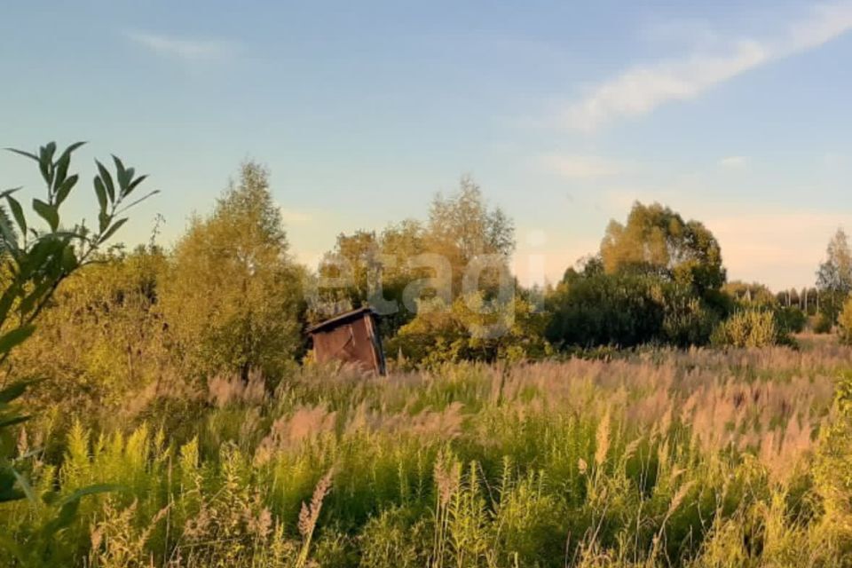 земля городской округ Пенза, СНТ Заря фото 2