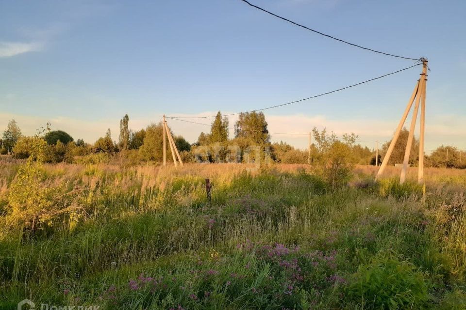 земля городской округ Пенза, СНТ Заря фото 3