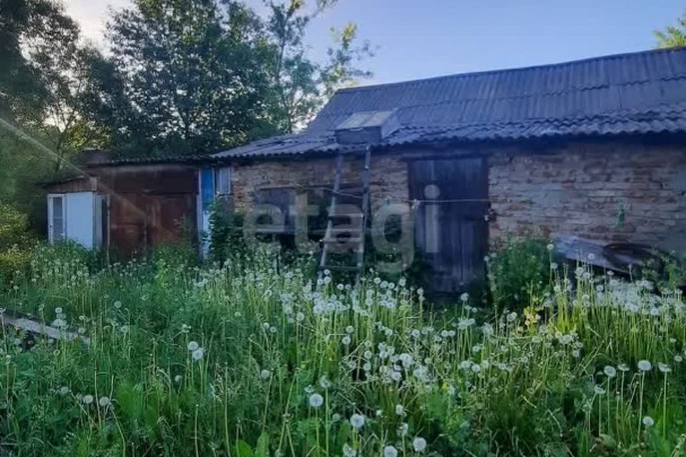 земля р-н Колышлейский д Манцеровка ул Заречная 1 фото 4