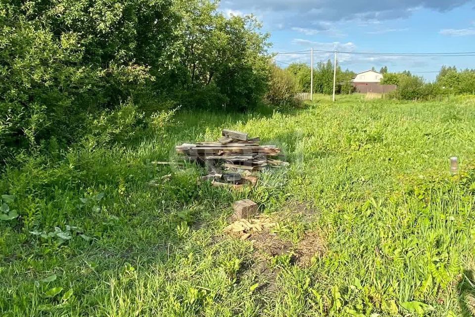 земля г Пенза городской округ Пенза, СТ Заря фото 3