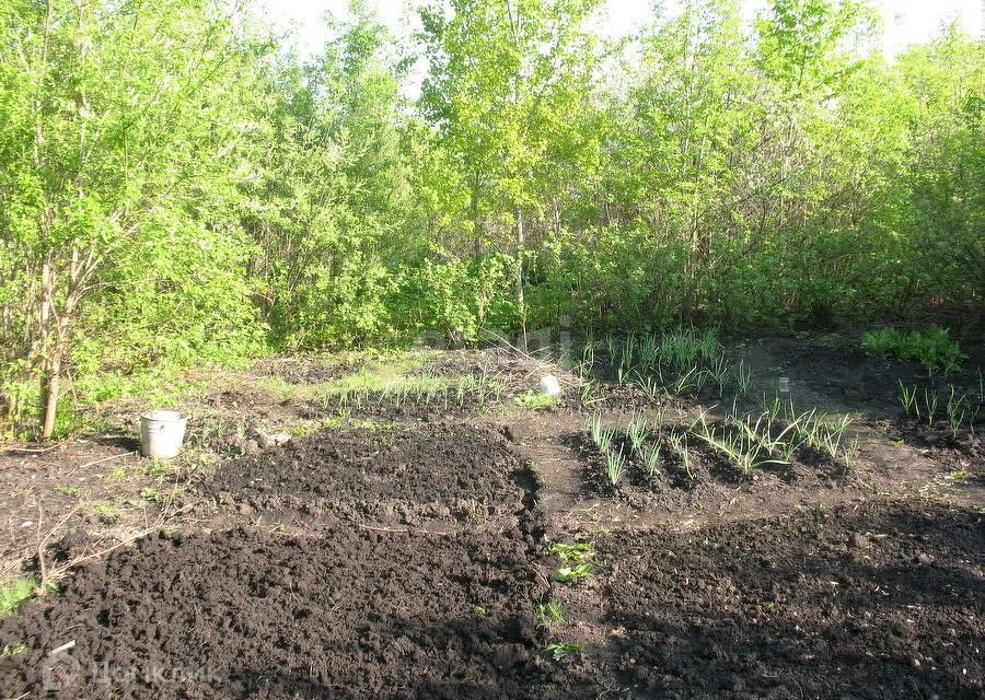 земля г Пенза городской округ Пенза, СТ Казённый сад фото 3