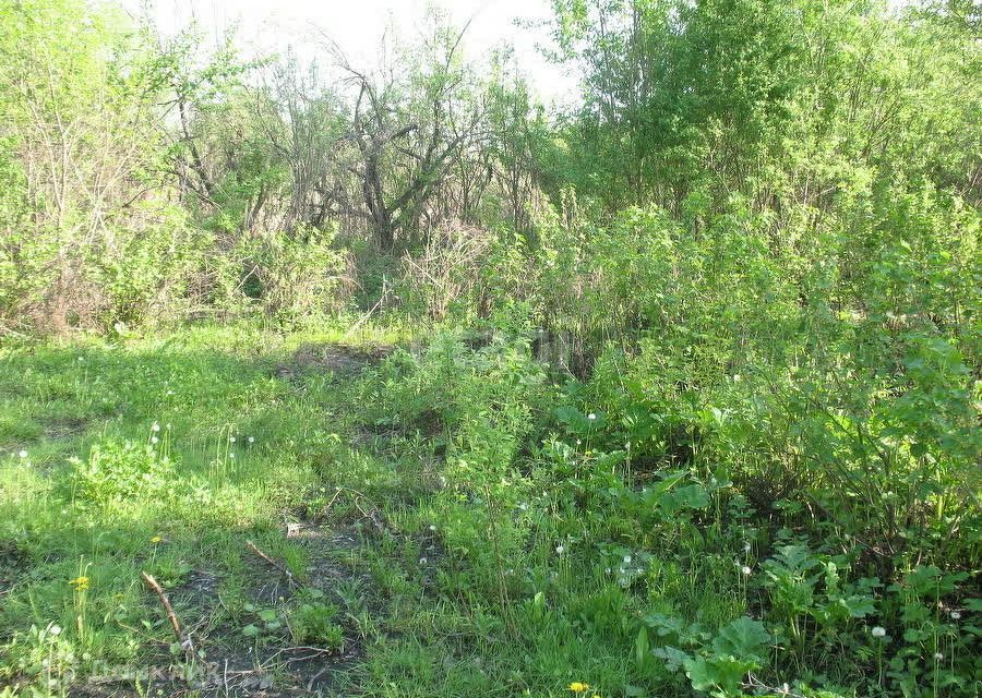 земля г Пенза городской округ Пенза, СТ Казённый сад фото 4