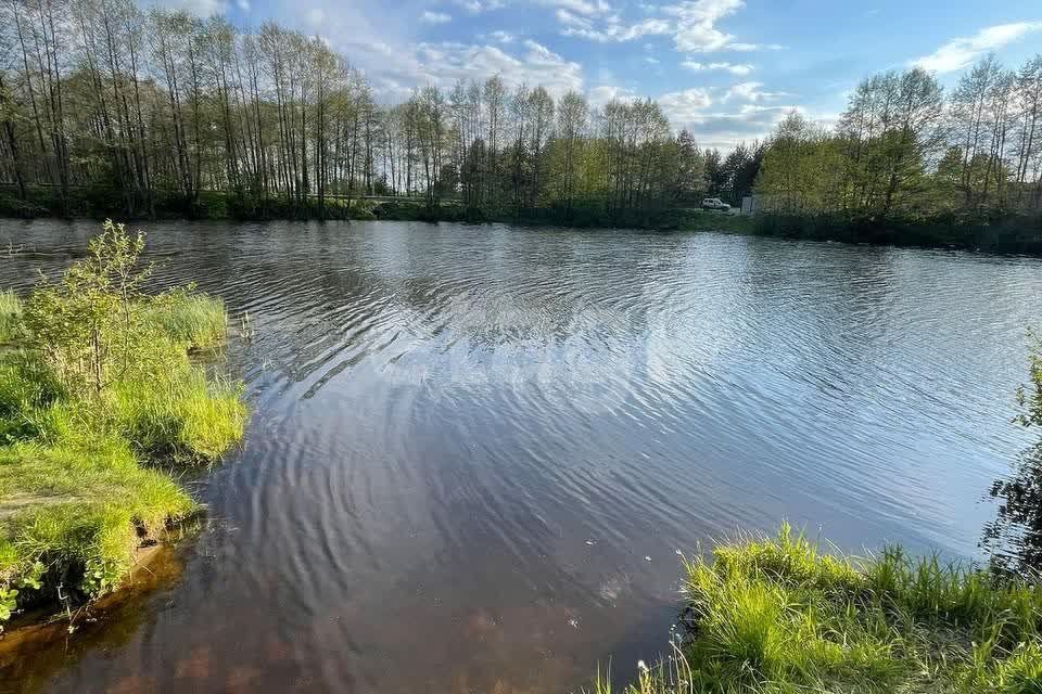 земля р-н Пензенский село Воскресеновка фото 3