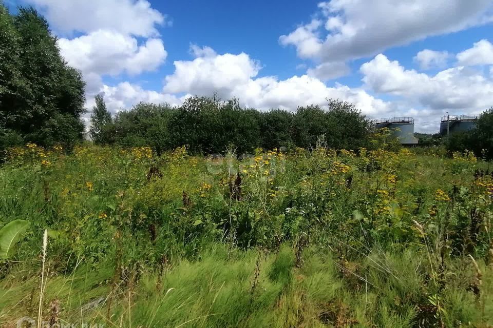 земля г Пенза городской округ Пенза, Клубничная фото 4