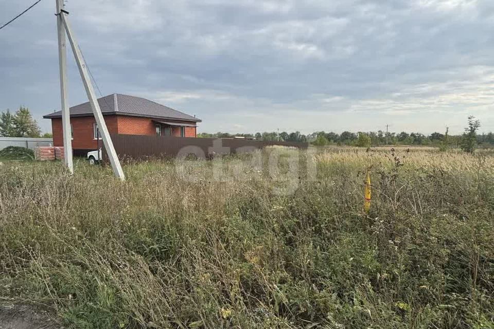 земля р-н Бессоновский фото 4