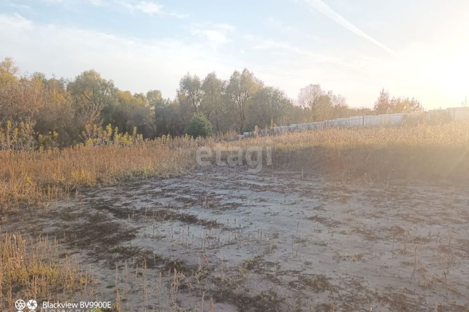 земля р-н Первомайский с Фирсово ул Затонская 1 фото 2