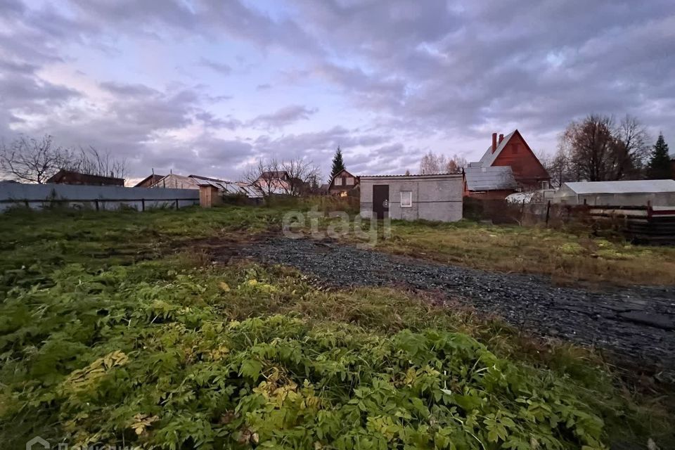 земля р-н Новосибирский с Новолуговое СНТ Иня-2 фото 1