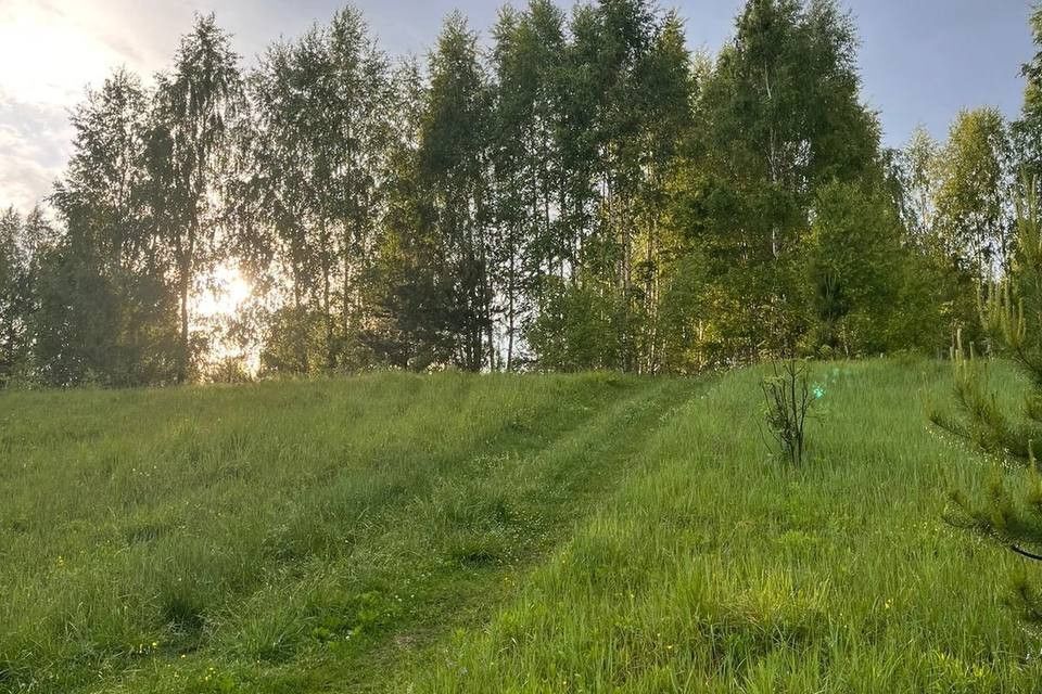 земля р-н Некрасовский с Диево-Городище ул Сиреневая 23 фото 1