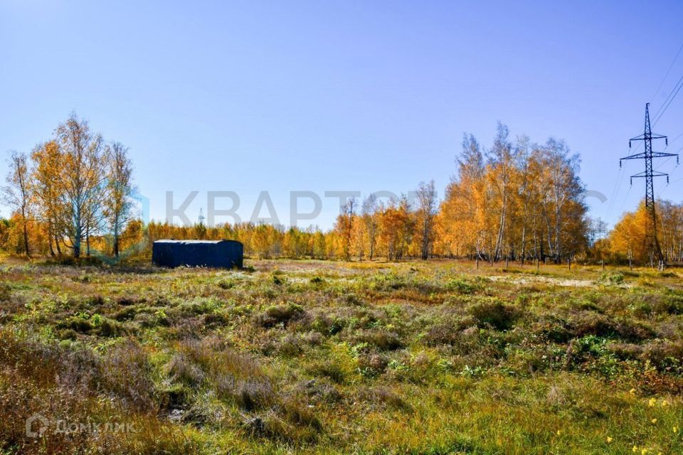 земля р-н Омский Ракитинкa фото 2