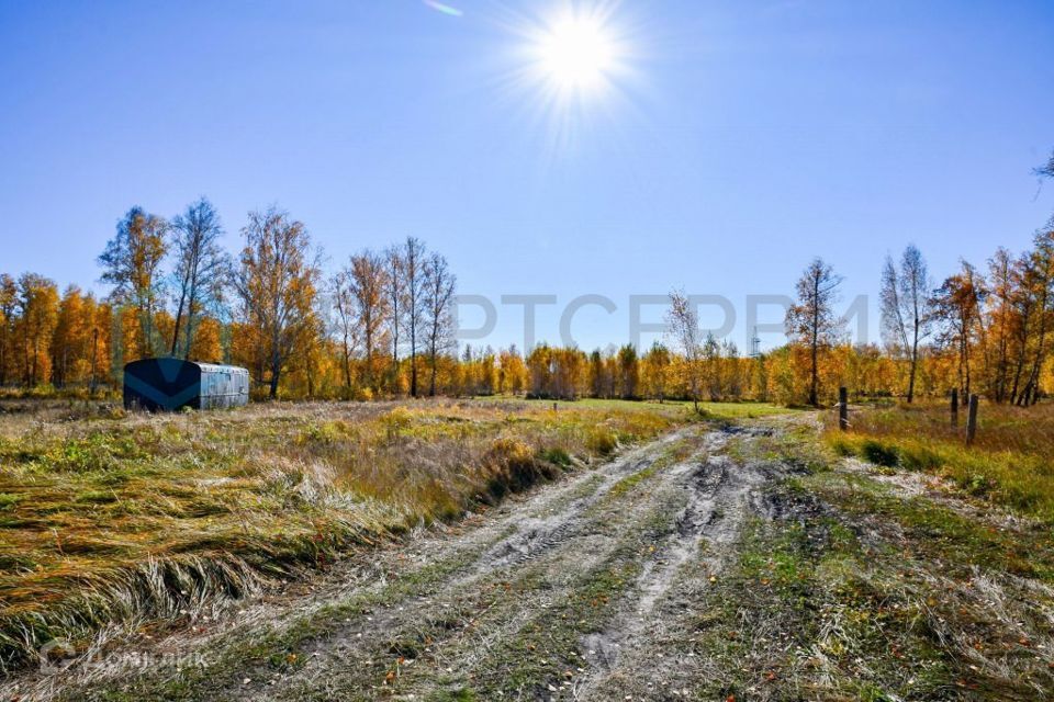 земля р-н Омский Ракитинкa фото 4