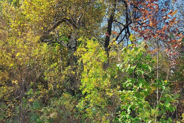 мкр Северный 60 Большой Камень городской округ фото