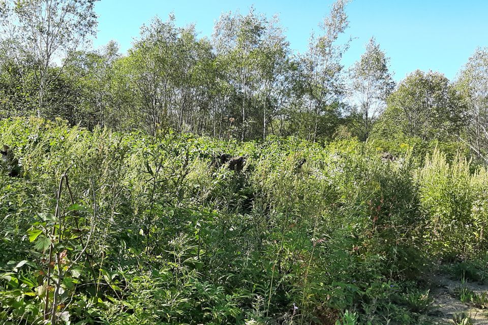 земля г Южно-Сахалинск Южно-Сахалинск городской округ, СНТ Здоровье фото 1