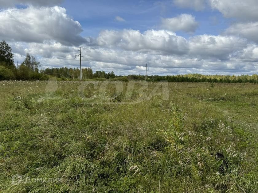 земля р-н Тюменский фото 1