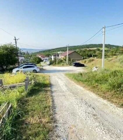 Анапа городской округ, Зелёная фото