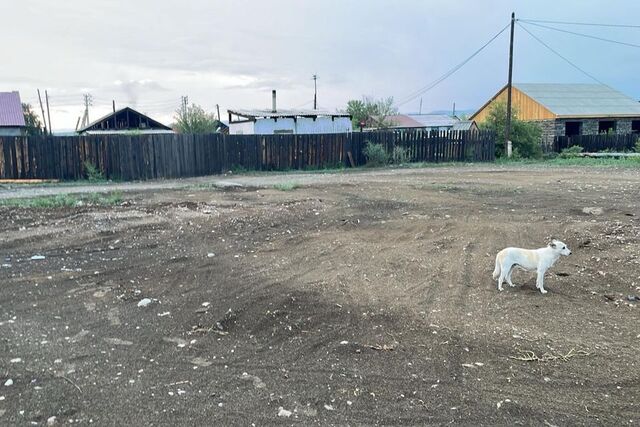 городской округ Кызыл, Эрзинская линия, 29 фото