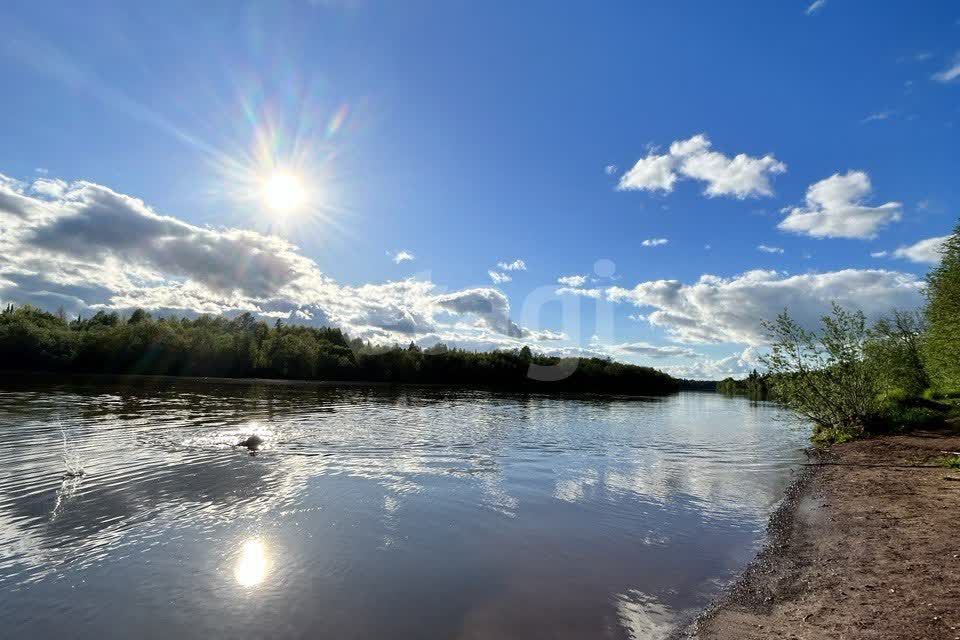 земля Березники городской округ, Романово фото 4