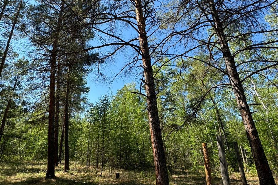 земля г Якутск Якутск городской округ, Тускул фото 2