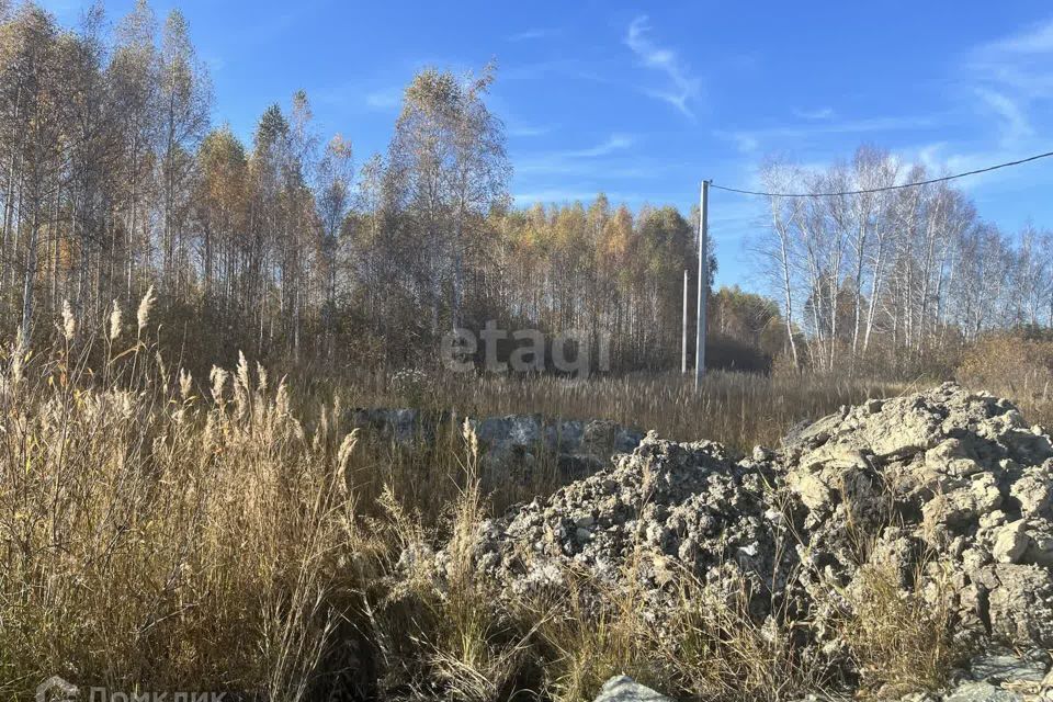 земля р-н Сосновский с Кременкуль Зелёный мыс фото 4