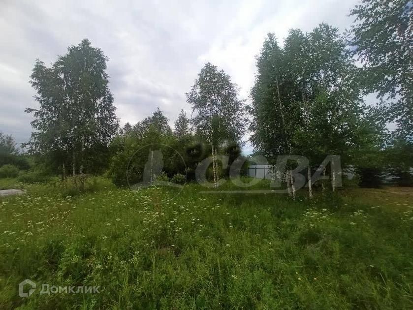 земля р-н Нижнетавдинский СНТ Геолог-2 фото 3