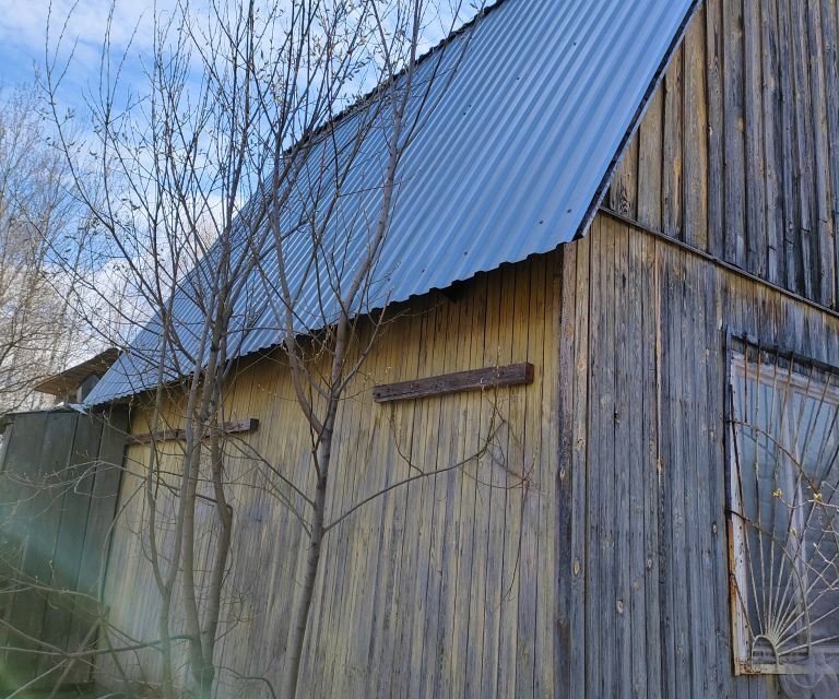 земля Бор городской округ, СНТ Родники фото 3