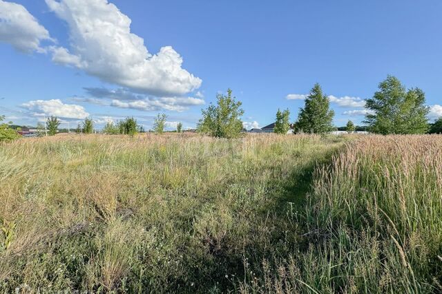 Саранск городской округ, Николаевка фото