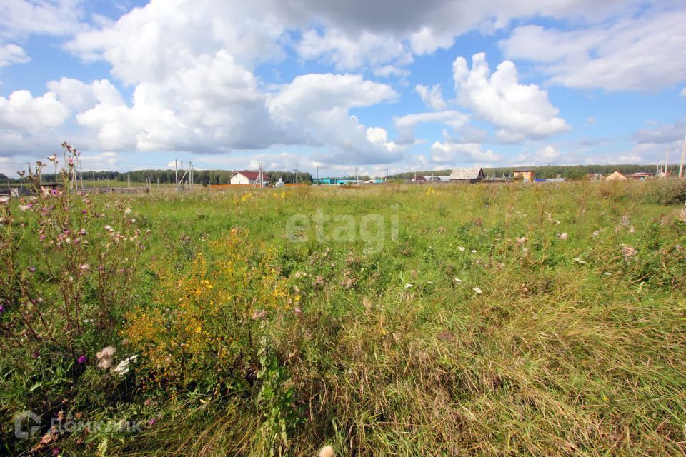 земля р-н Сосновский Кайгородово фото 1