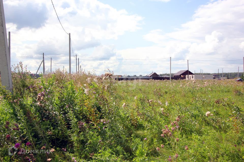 земля р-н Сосновский Кайгородово фото 1