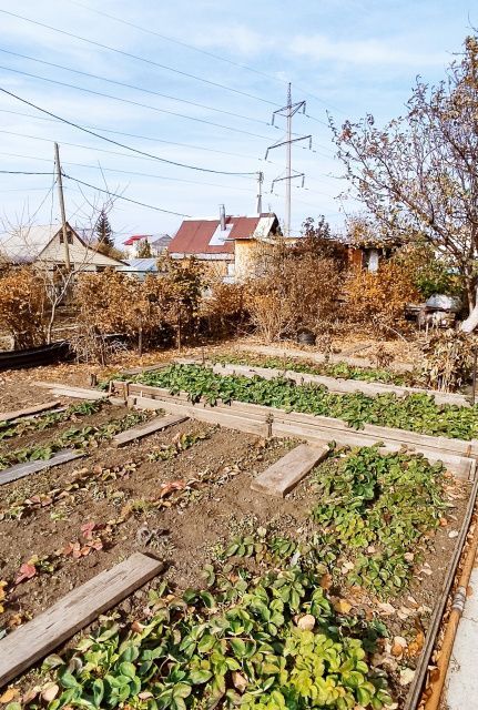 дом г Екатеринбург р-н Чкаловский Екатеринбург городской округ, Елизавет фото 3