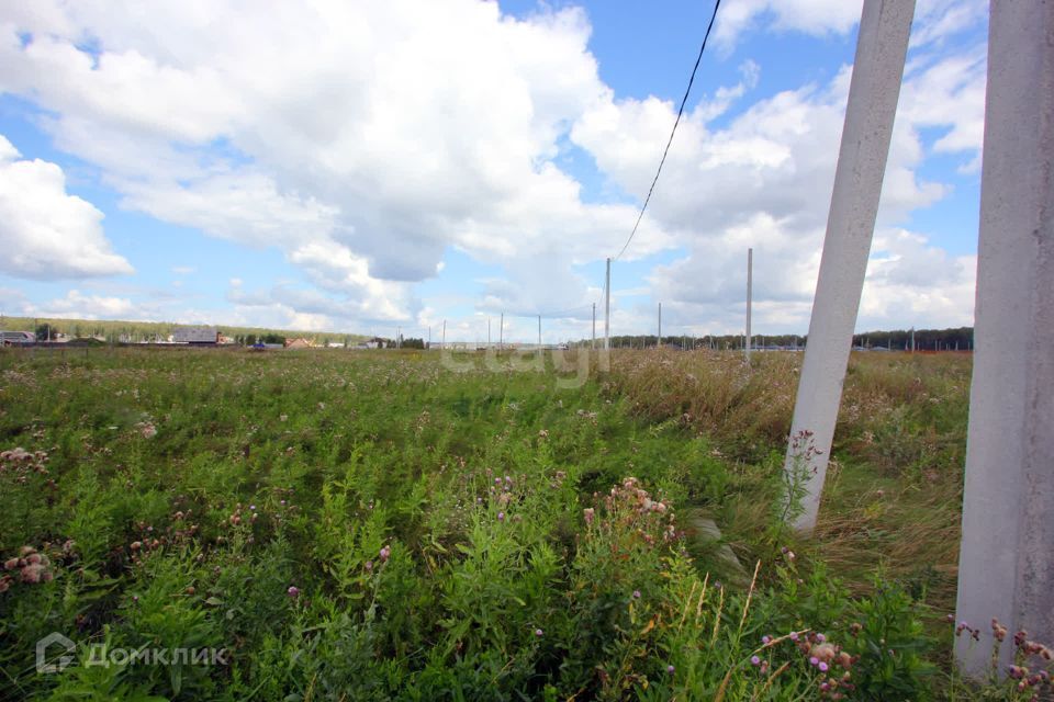 земля р-н Сосновский Кайгородово фото 2